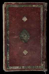 Фотография 7