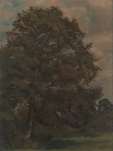 Фотография 9