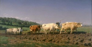 Роза Бонёр