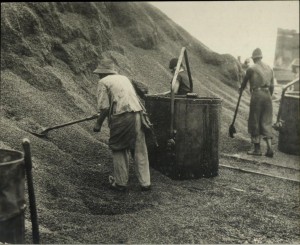 Фотография 19