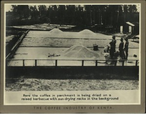 Фотография 35