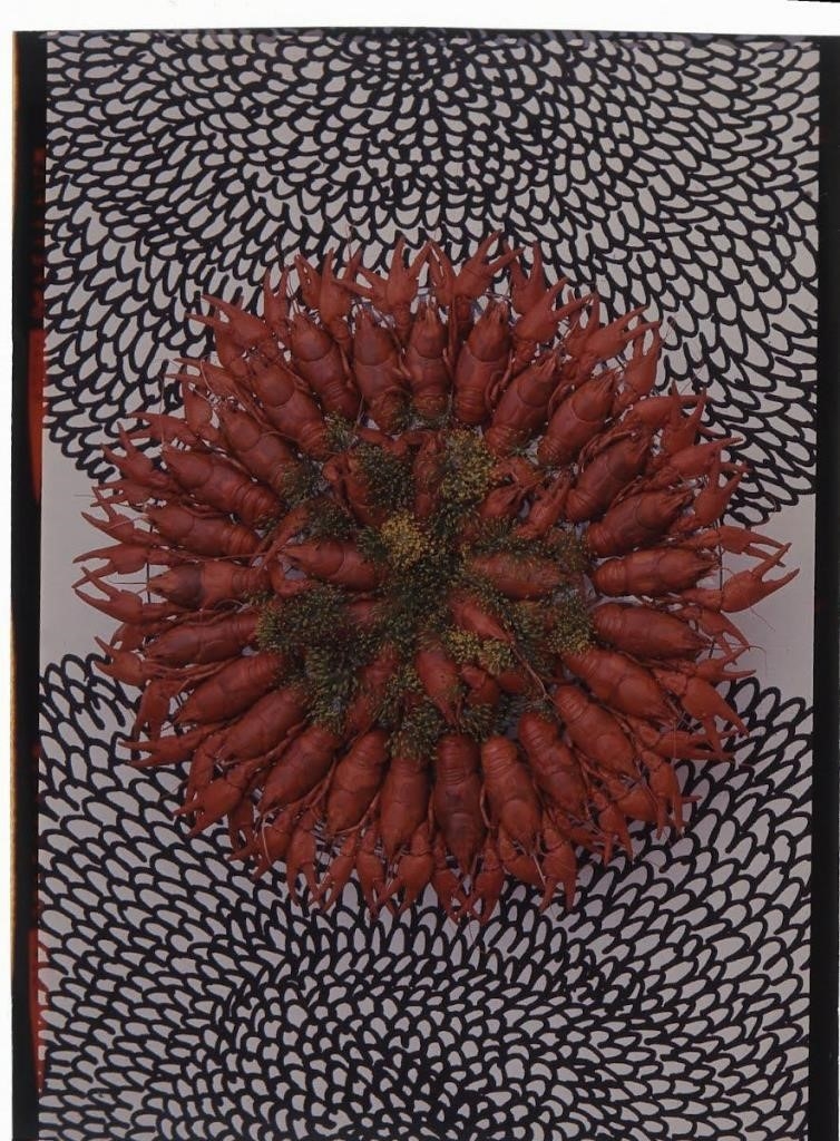 Cray Fish