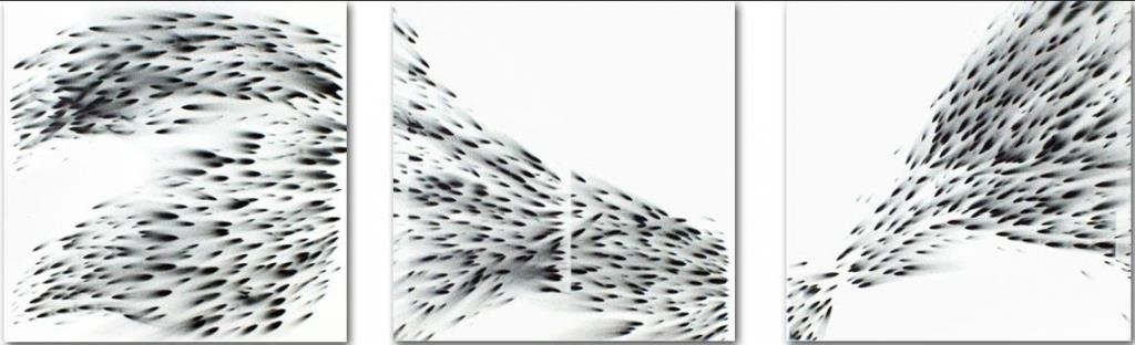Dotmasters