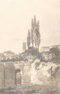 Фотография 45