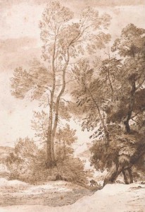 Фотография 30