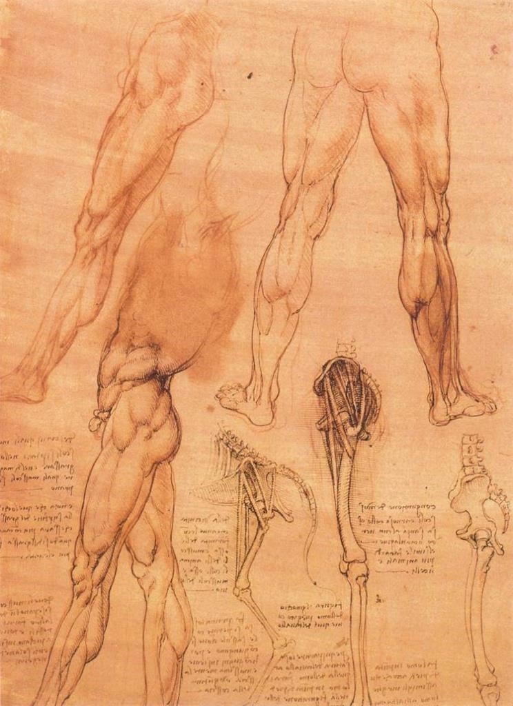 Штудия мужских ног и лошади (1506-1507) (Виндзор, Корол.коллекция)