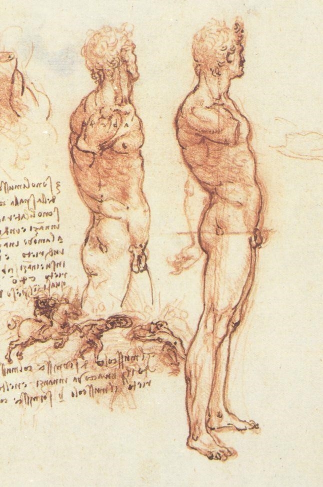 Анатомия обнажённого мужчины (1504-1505)