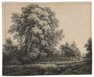 Фотография 396