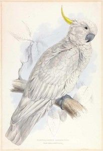 Фотография 45